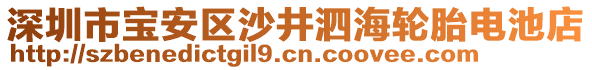 深圳市寶安區(qū)沙井泗海輪胎電池店