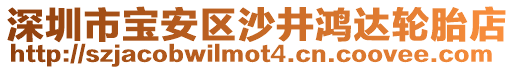 深圳市寶安區(qū)沙井鴻達輪胎店