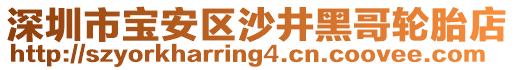 深圳市寶安區(qū)沙井黑哥輪胎店