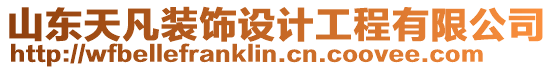山東天凡裝飾設(shè)計(jì)工程有限公司