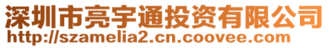 深圳市亮宇通投資有限公司