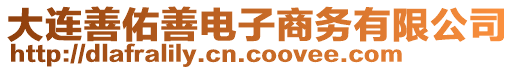 大連善佑善電子商務(wù)有限公司