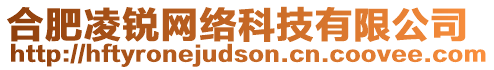 合肥凌銳網(wǎng)絡(luò)科技有限公司