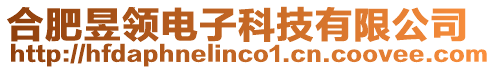 合肥昱領(lǐng)電子科技有限公司