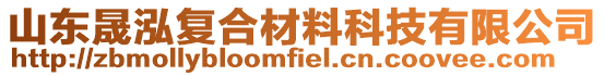 山東晟泓復(fù)合材料科技有限公司