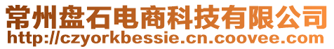 常州盤石電商科技有限公司