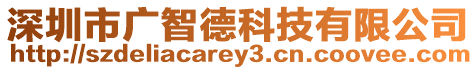 深圳市廣智德科技有限公司