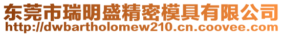 東莞市瑞明盛精密模具有限公司