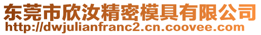 東莞市欣汝精密模具有限公司