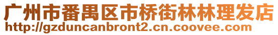 廣州市番禺區(qū)市橋街林林理發(fā)店