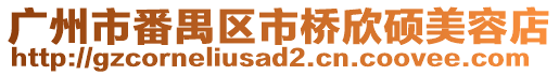 廣州市番禺區市橋欣碩美容店