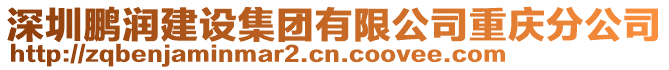 深圳鵬潤建設集團有限公司重慶分公司