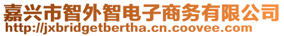 嘉興市智外智電子商務(wù)有限公司