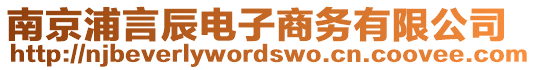 南京浦言辰電子商務(wù)有限公司