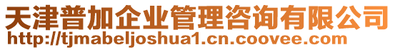 天津普加企業(yè)管理咨詢有限公司