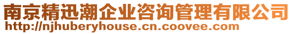 南京精迅潮企業咨詢管理有限公司