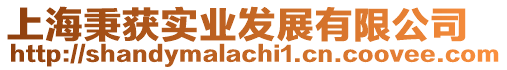 上海秉獲實業(yè)發(fā)展有限公司
