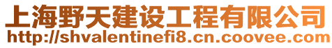 上海野天建設(shè)工程有限公司