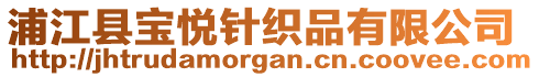 浦江縣寶悅針織品有限公司