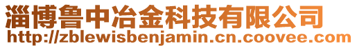 淄博魯中冶金科技有限公司