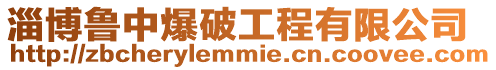 淄博魯中爆破工程有限公司