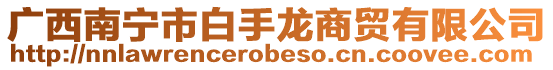 廣西南寧市白手龍商貿(mào)有限公司