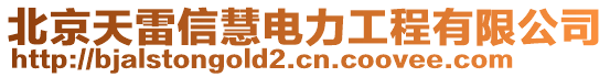 北京天雷信慧電力工程有限公司