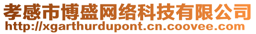 孝感市博盛網(wǎng)絡(luò)科技有限公司