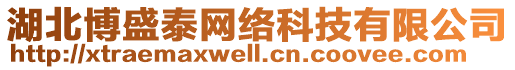 湖北博盛泰網(wǎng)絡(luò)科技有限公司