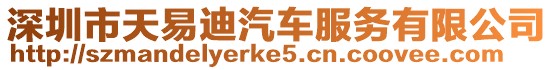 深圳市天易迪汽車服務有限公司