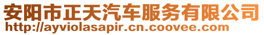 安陽市正天汽車服務有限公司