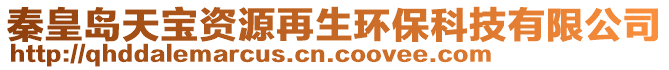 秦皇島天寶資源再生環保科技有限公司