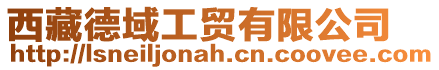 西藏德域工貿有限公司
