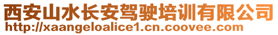 西安山水長安駕駛培訓有限公司