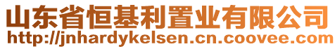 山東省恒基利置業(yè)有限公司