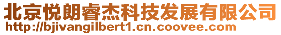 北京悅朗睿杰科技發展有限公司