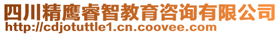 四川精鷹睿智教育咨詢有限公司