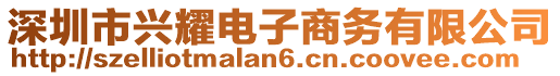 深圳市興耀電子商務有限公司