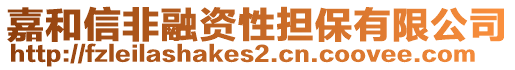 嘉和信非融資性擔保有限公司