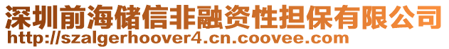 深圳前海儲(chǔ)信非融資性擔(dān)保有限公司