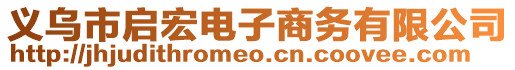 義烏市啟宏電子商務(wù)有限公司