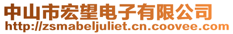 中山市宏望電子有限公司