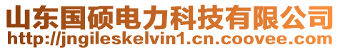 山東國(guó)碩電力科技有限公司