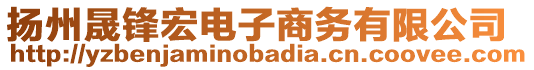 揚州晟鋒宏電子商務(wù)有限公司