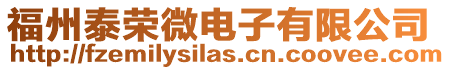 福州泰榮微電子有限公司