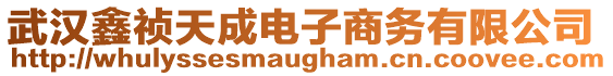武漢鑫禎天成電子商務有限公司