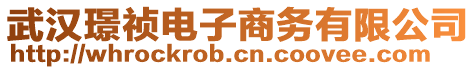 武漢璟禎電子商務有限公司