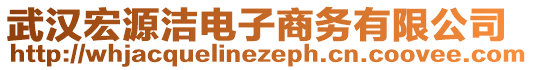 武漢宏源潔電子商務(wù)有限公司