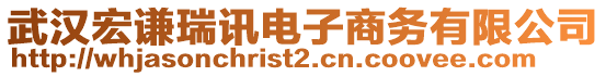 武漢宏謙瑞訊電子商務(wù)有限公司