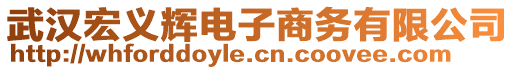 武漢宏義輝電子商務有限公司